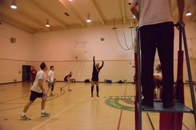 DSC_1781 (Large).JPG